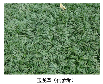 云开体育app官网下载