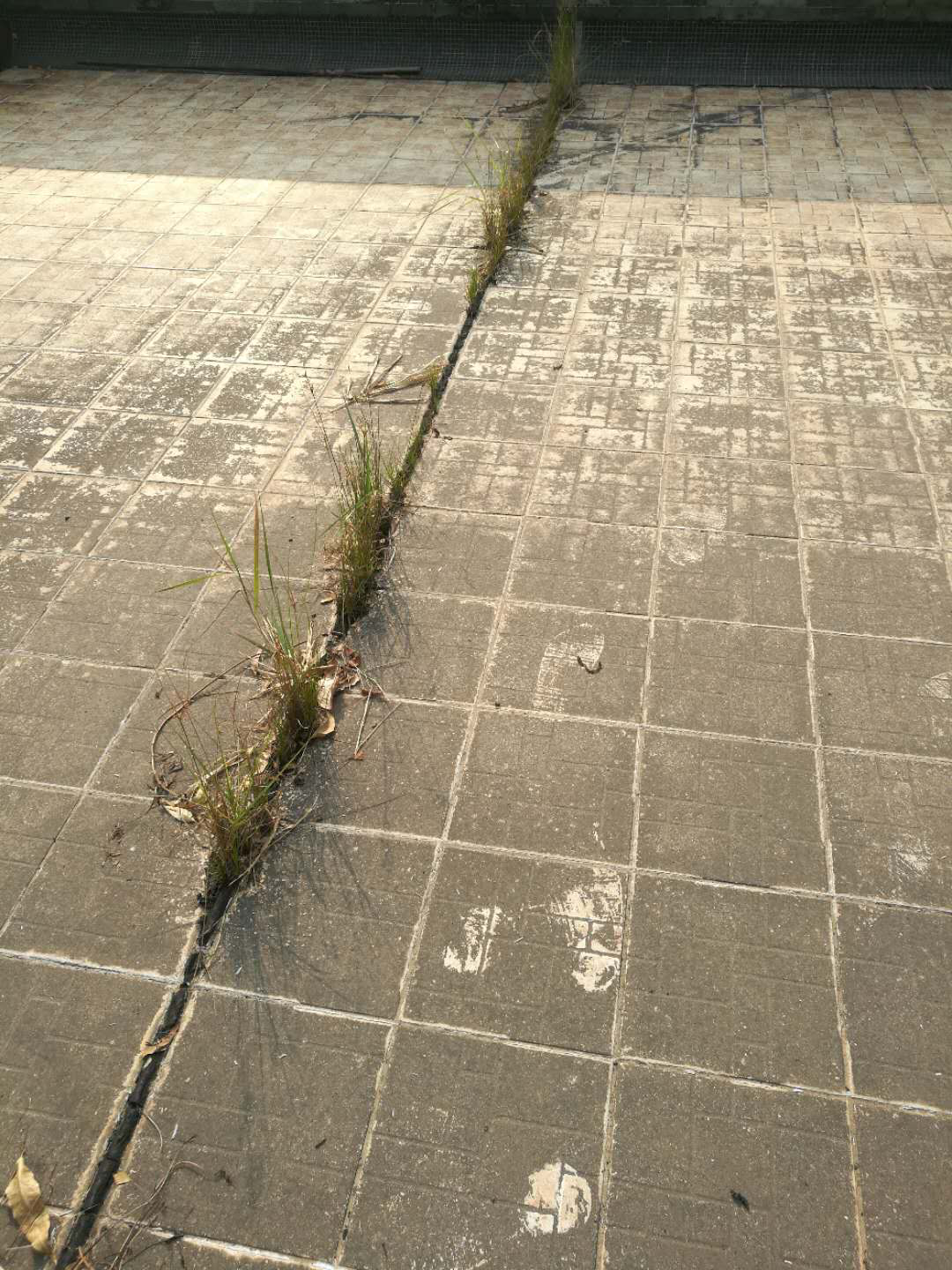 云开体育app官网下载