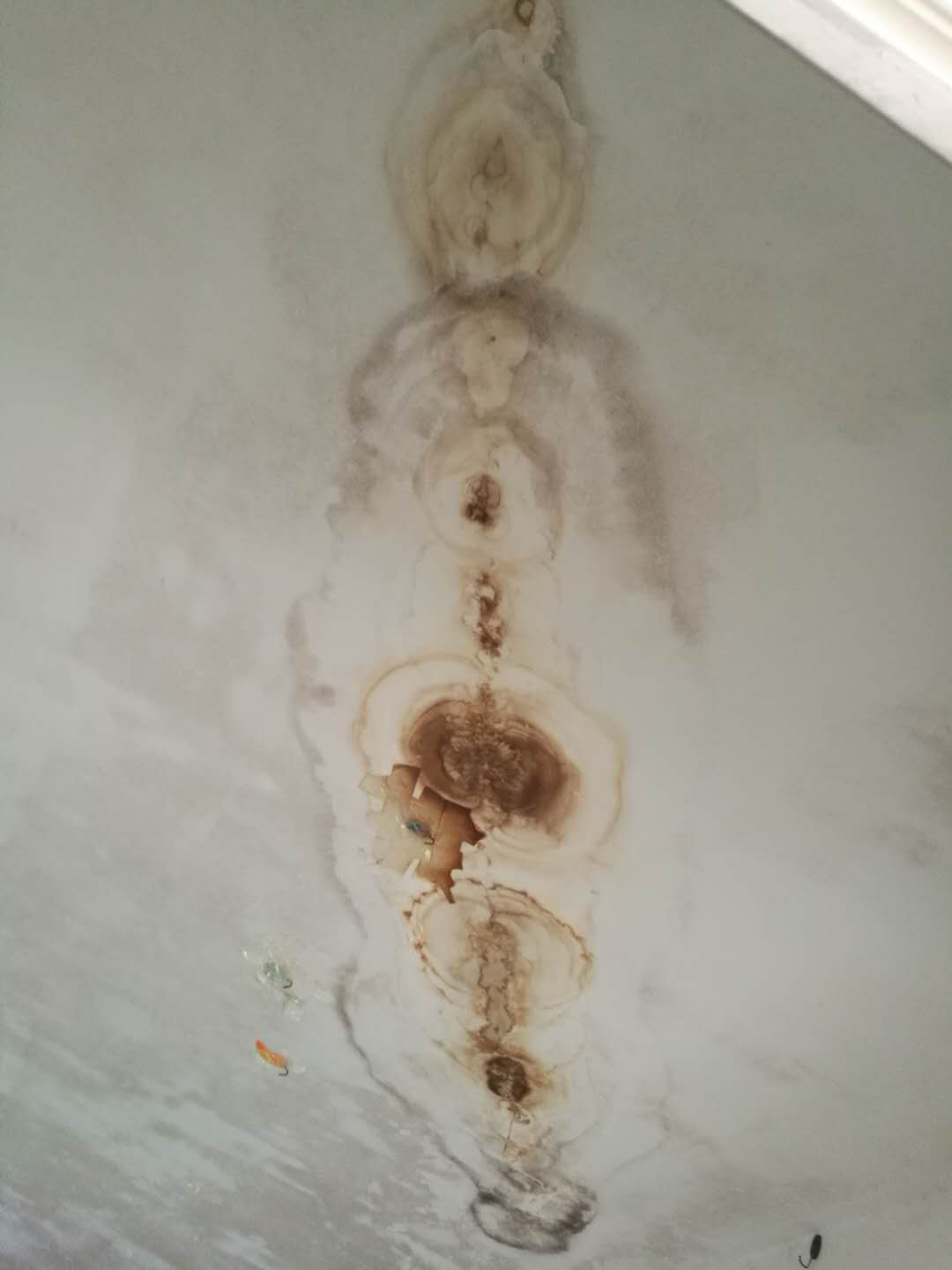 云开体育app官网下载