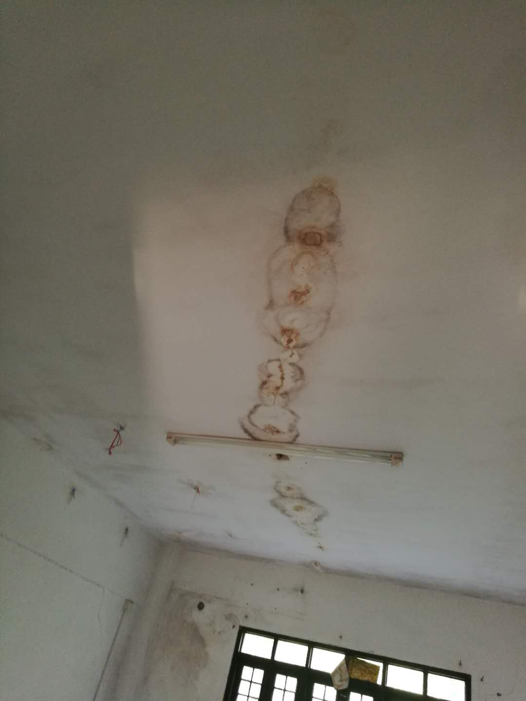 云开体育app官网下载