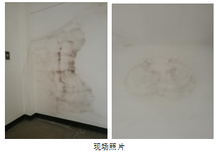 云开体育app官网下载