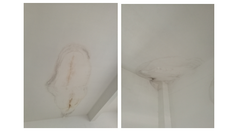 云开体育app官网下载