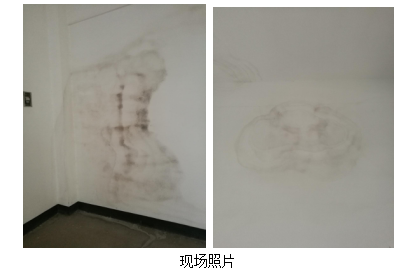 云开体育app官网下载