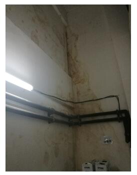 云开体育app官网下载