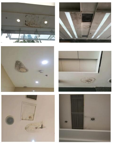 云开体育app官网下载