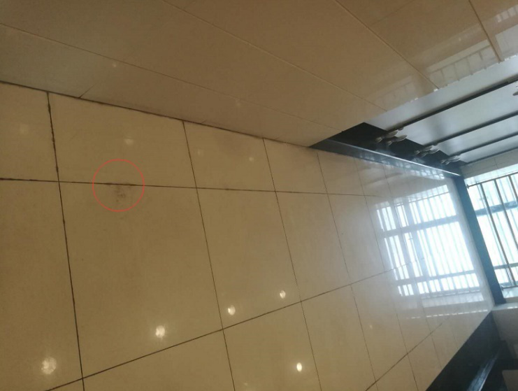 云开体育app官网下载