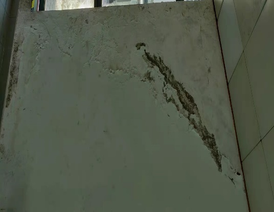 云开体育app官网下载