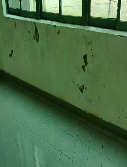 云开体育app官网下载