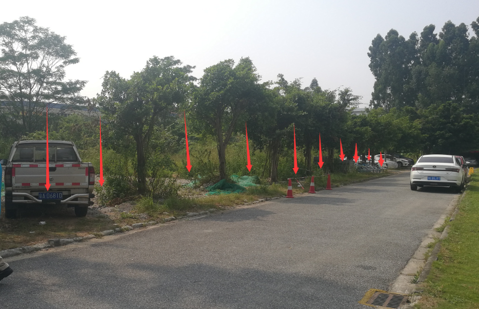 云开体育app官网下载