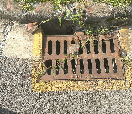 云开体育app官网下载