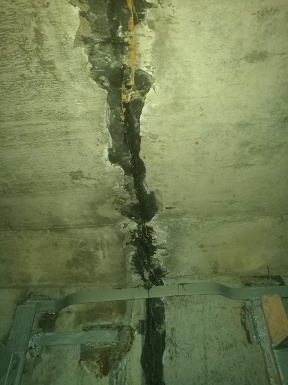 云开体育app官网下载