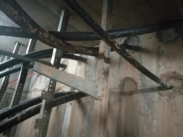 云开体育app官网下载