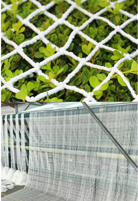 云开体育app官网下载