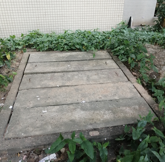 云开体育app官网下载