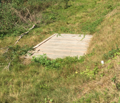 云开体育app官网下载