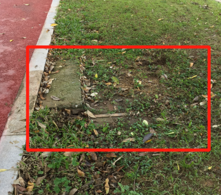 云开体育app官网下载