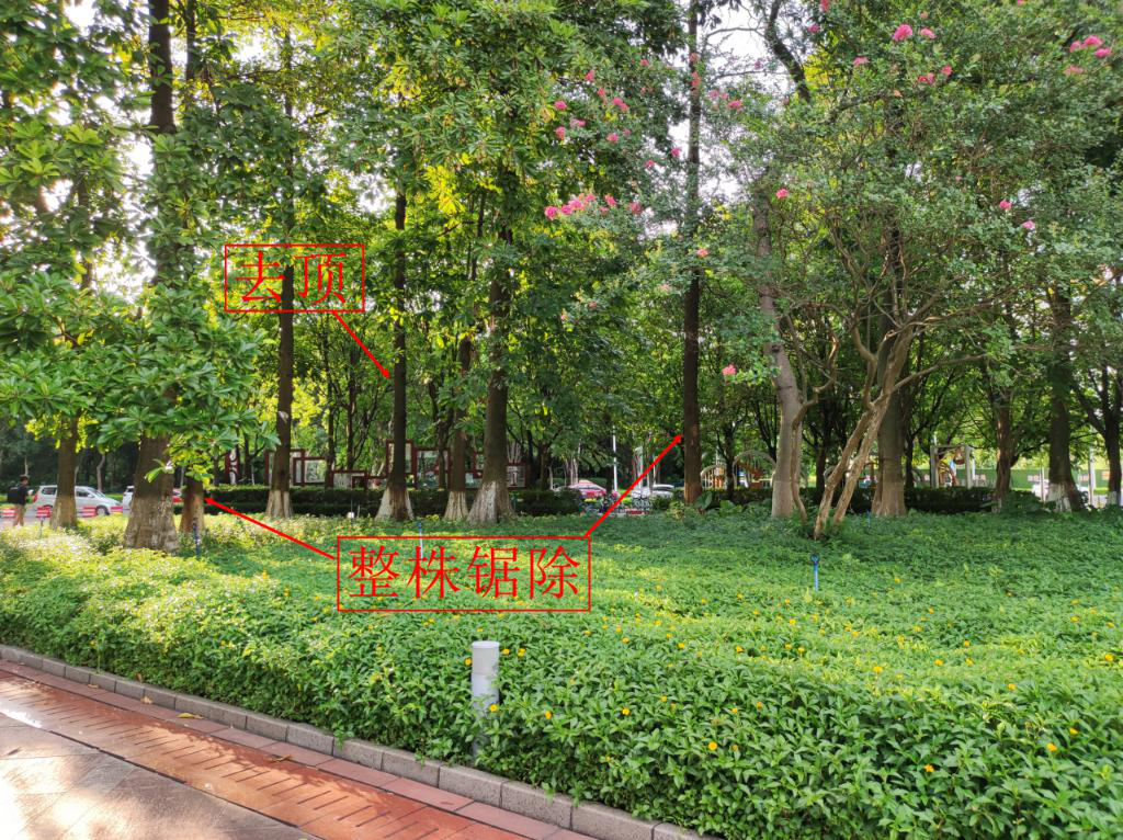 云开体育app官网下载