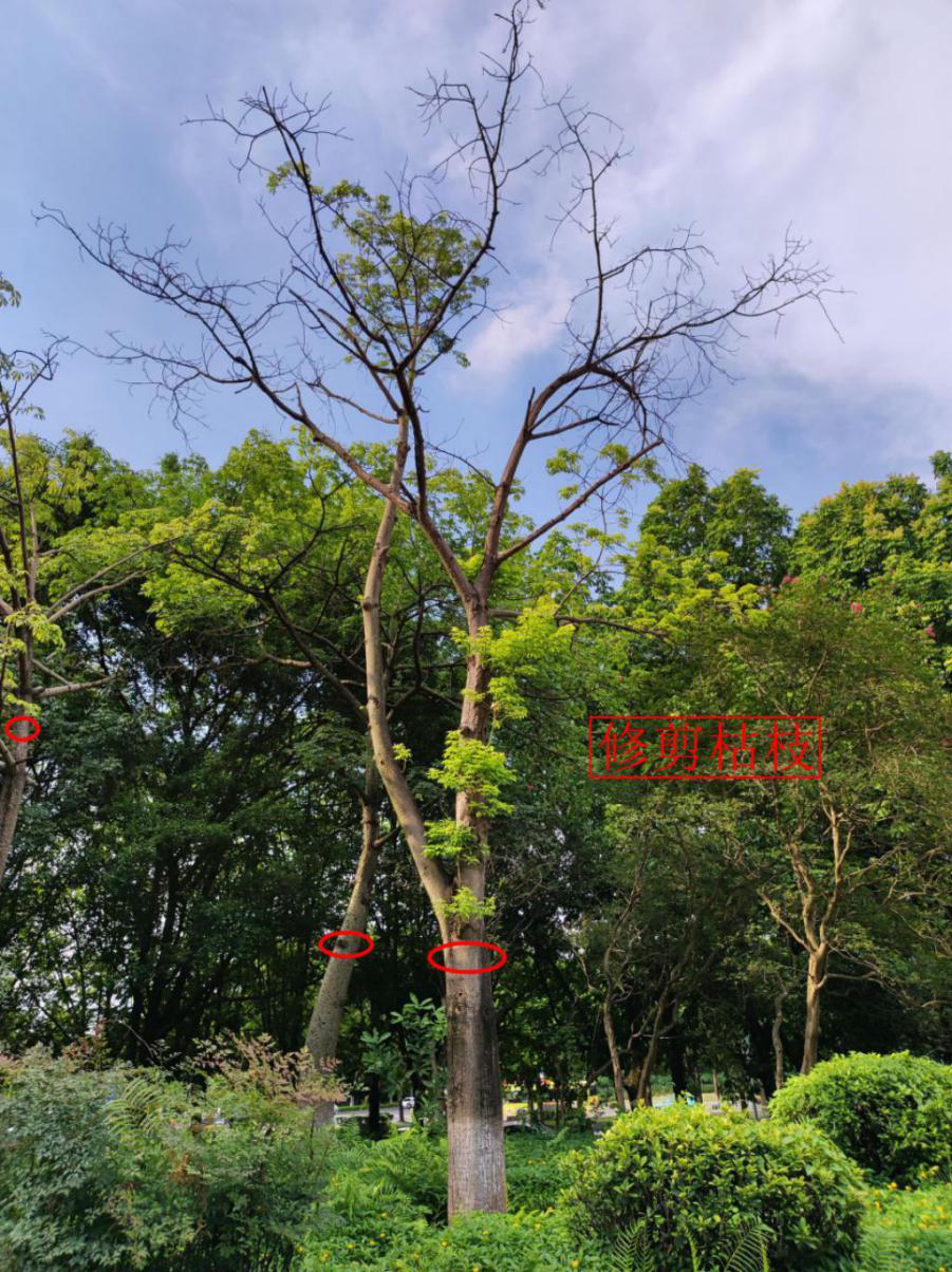 云开体育app官网下载