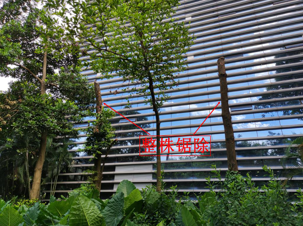 云开体育app官网下载