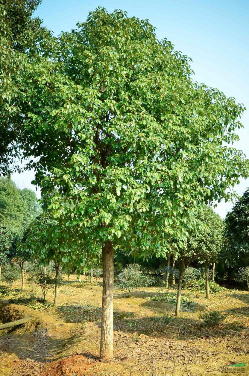 云开体育app官网下载