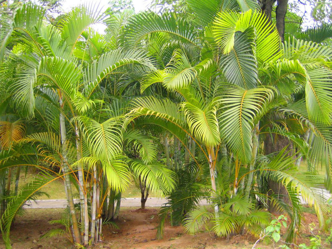 云开体育app官网下载