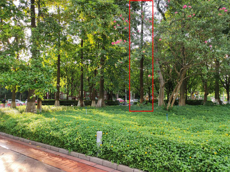 云开体育app官网下载