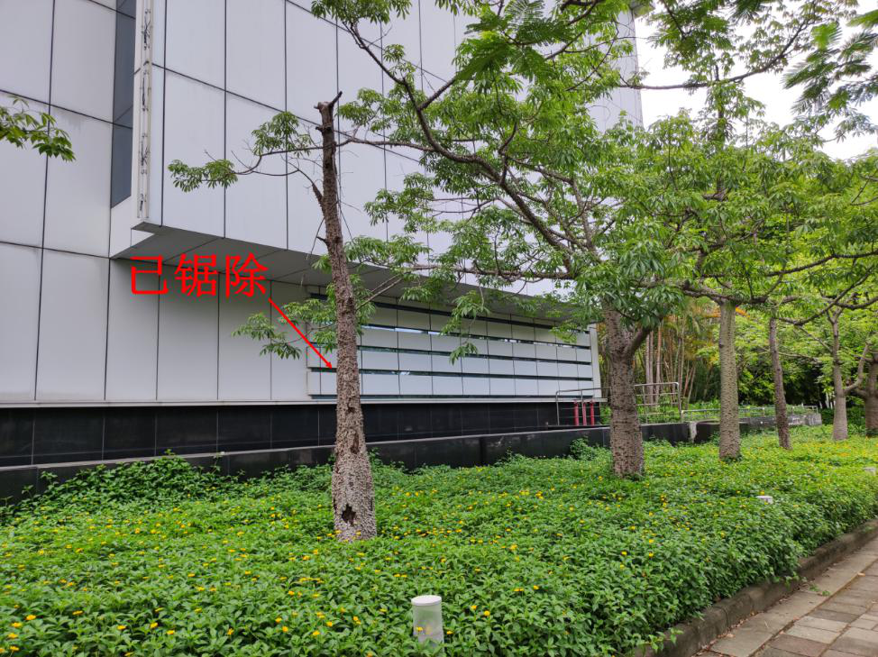 云开体育app官网下载