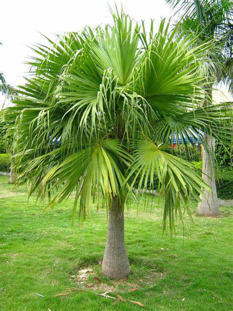 云开体育app官网下载