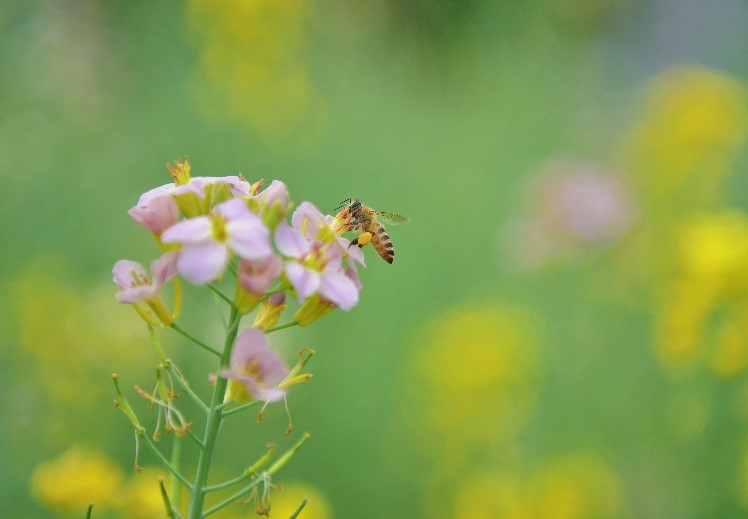 云开体育app官网下载