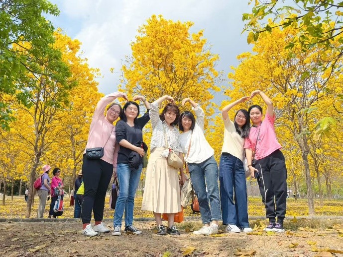 云开体育app官网下载