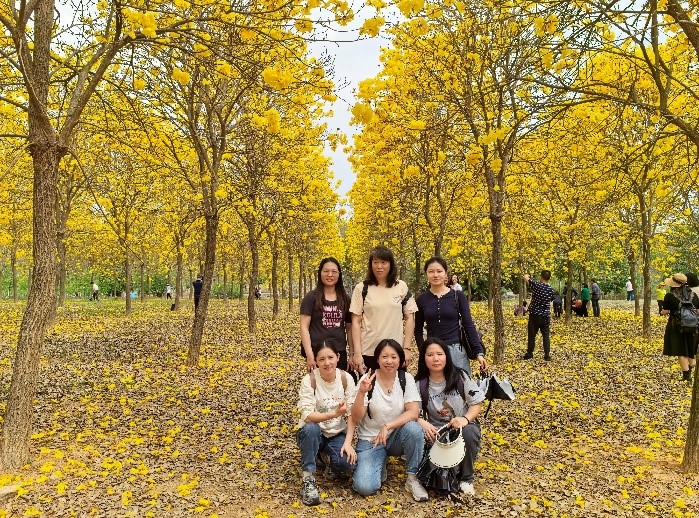 云开体育app官网下载